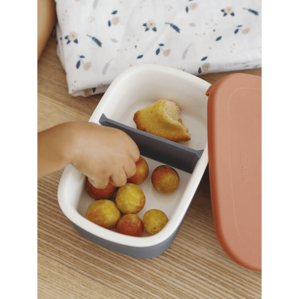 #color_mineral-terracotta