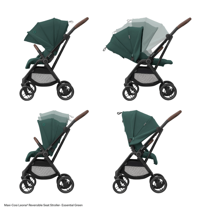 #color_Essential-Green