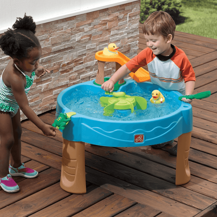Step2 Duck Pond Water Table