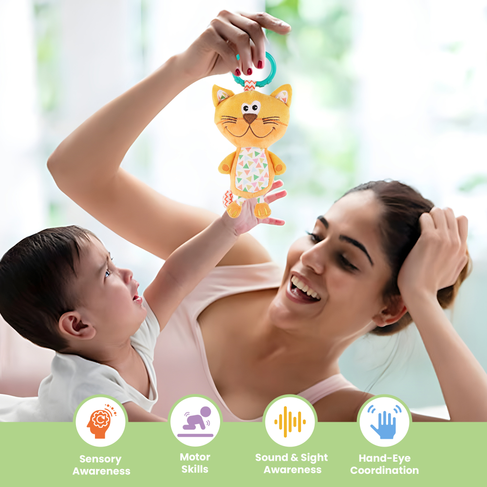 Nuluv Playtime Kitty Musical Toy