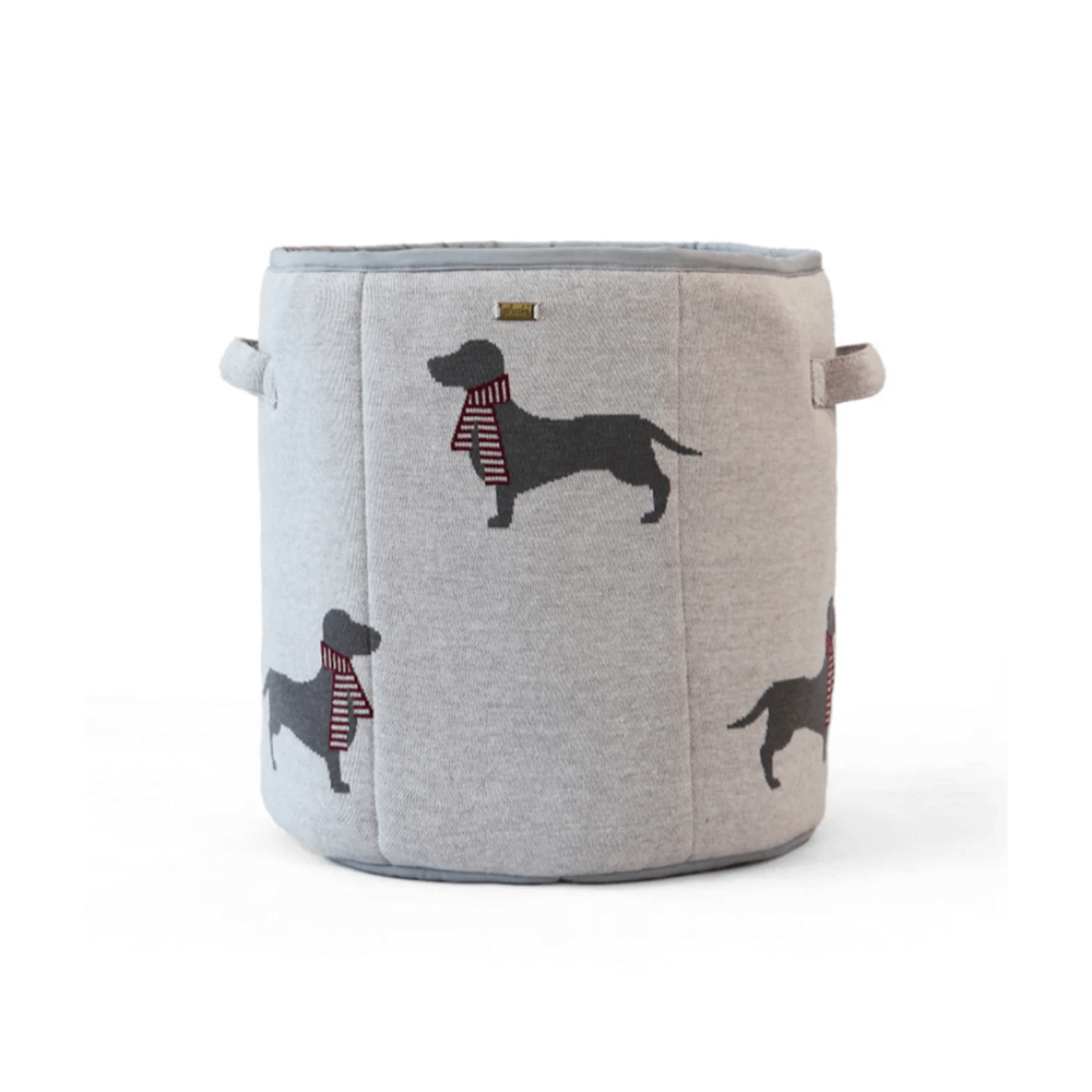 Dachshund