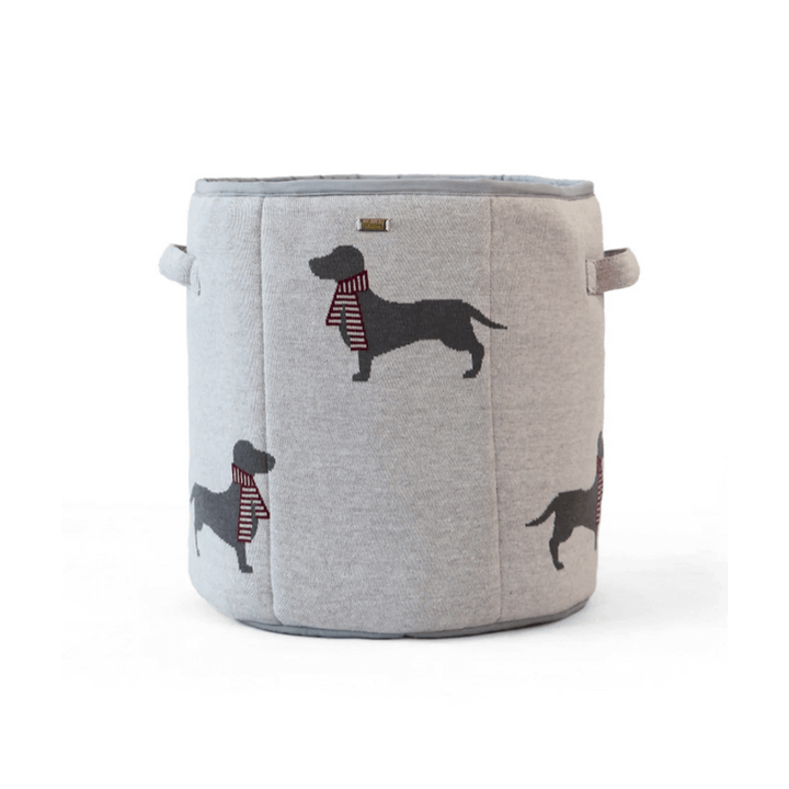 Dachshund
