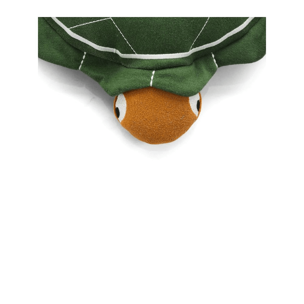 Pluchi Mack The Tortoise