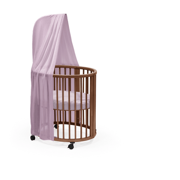 #color_Lavender