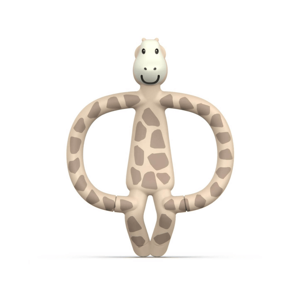 gigi giraffe