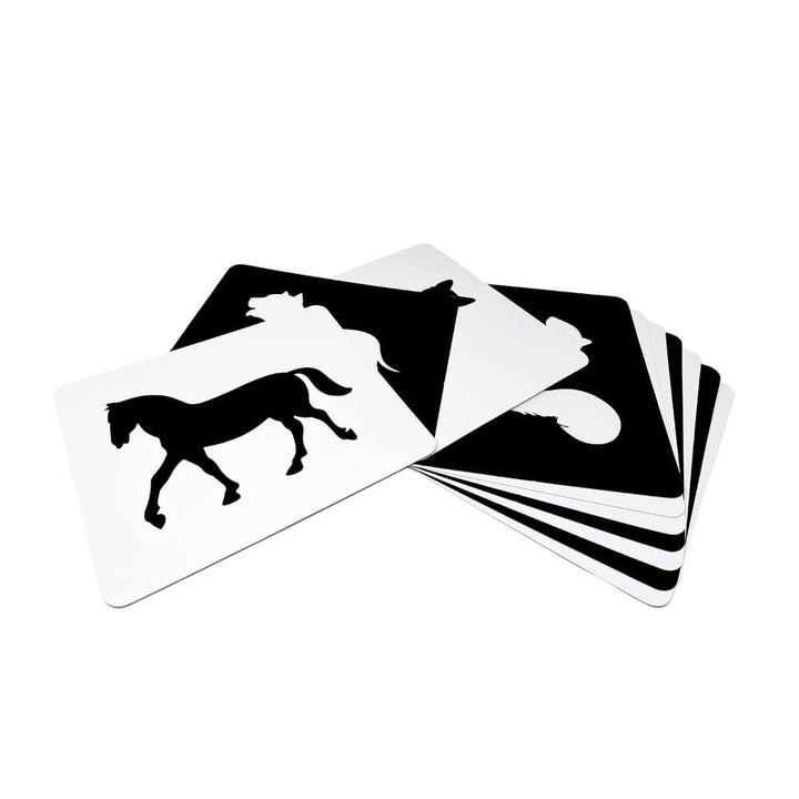 Brainsmith Animals Newborn High Contrast Flash Cards