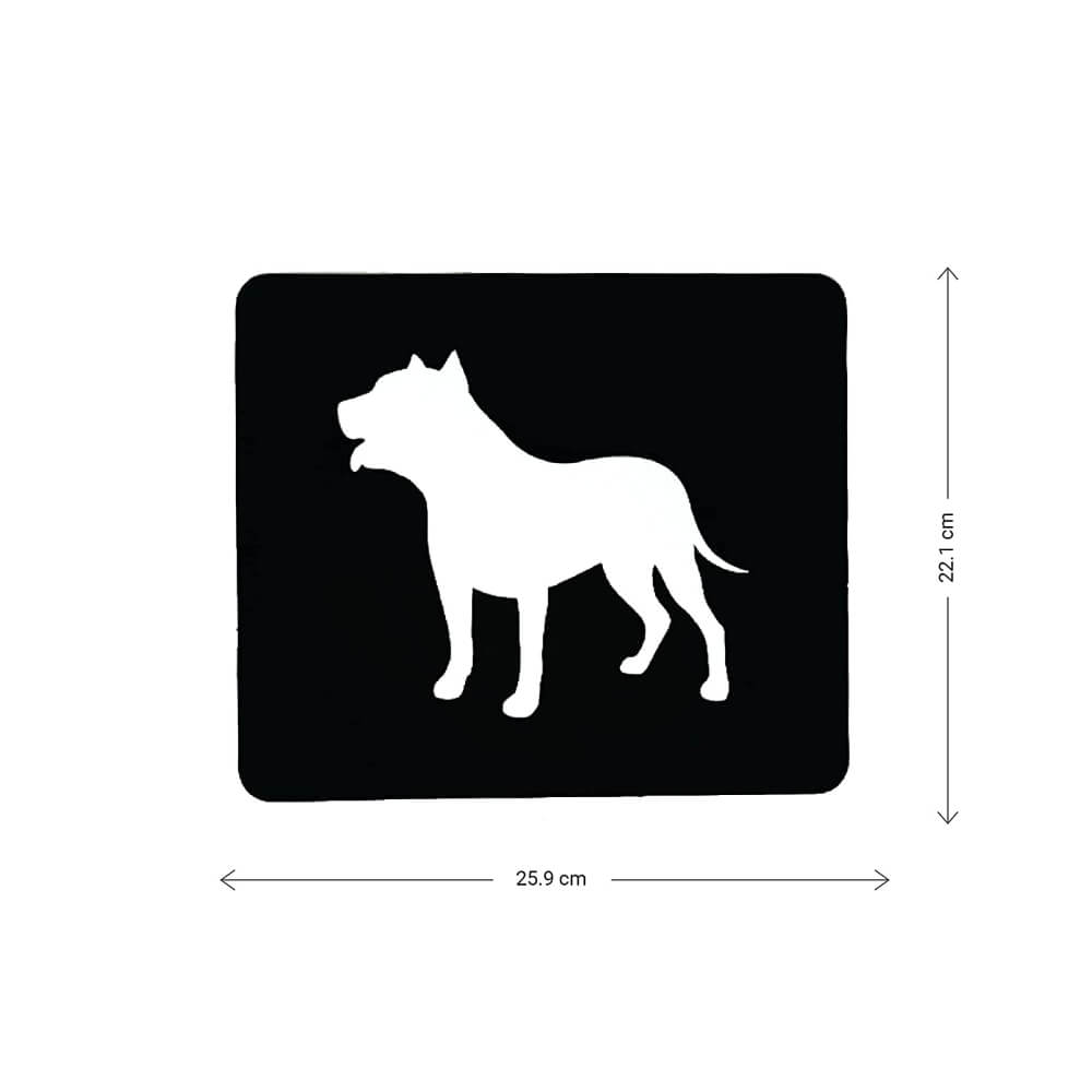 Brainsmith Animals Newborn High Contrast Flash Cards