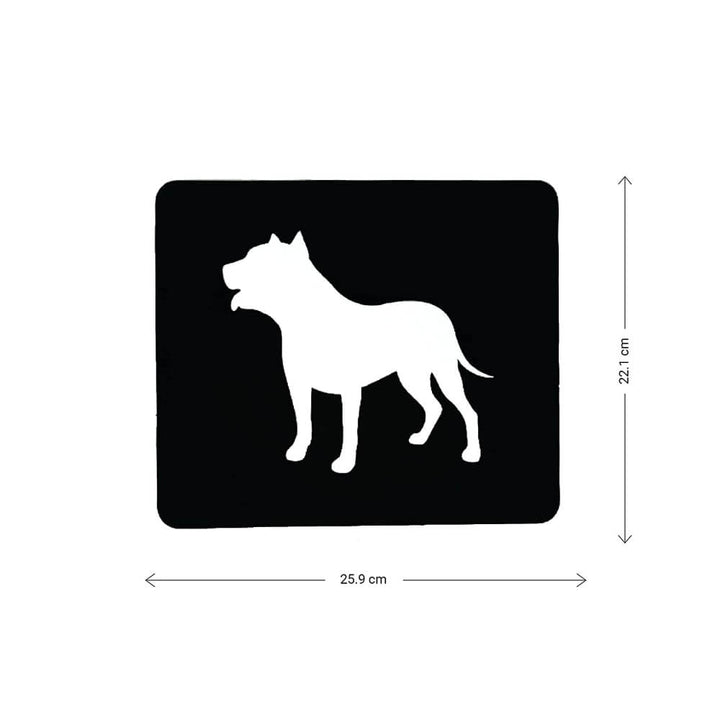 Brainsmith Animals Newborn High Contrast Flash Cards