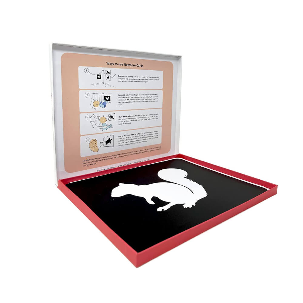 Brainsmith Animals Newborn High Contrast Flash Cards