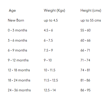 The Bodysuit - Black