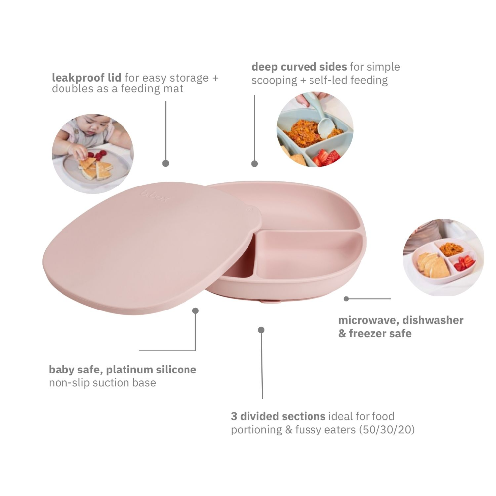 B.box Silicone Plate + Lid with Suction Base