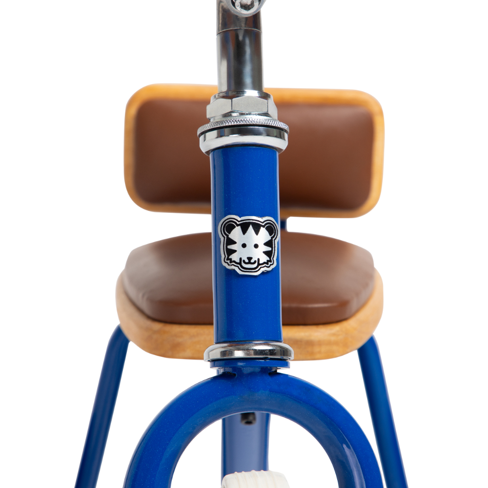Todds Trike - Boat Blue