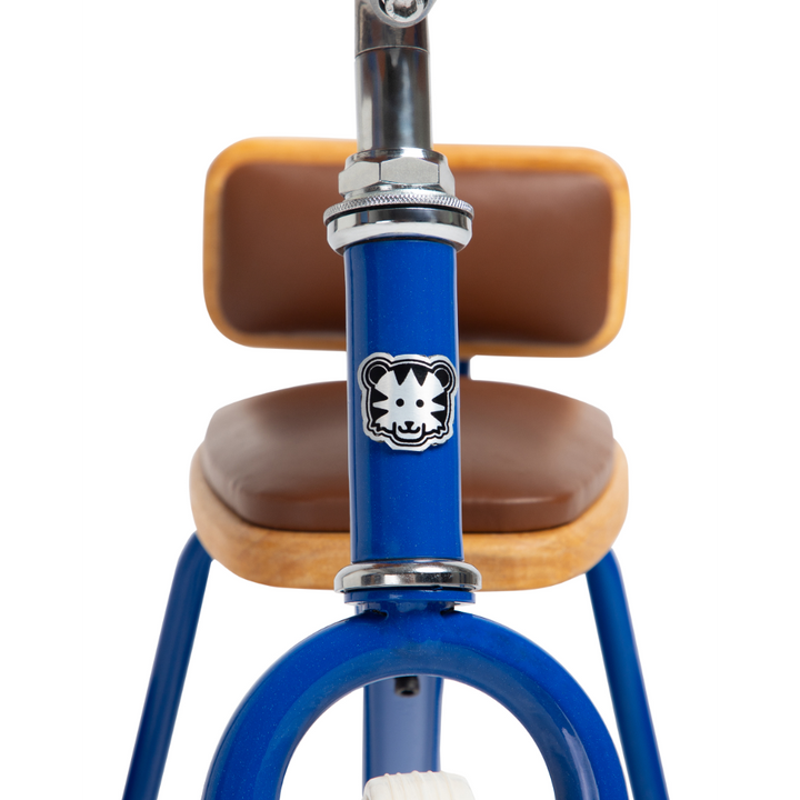 Todds Trike - Boat Blue