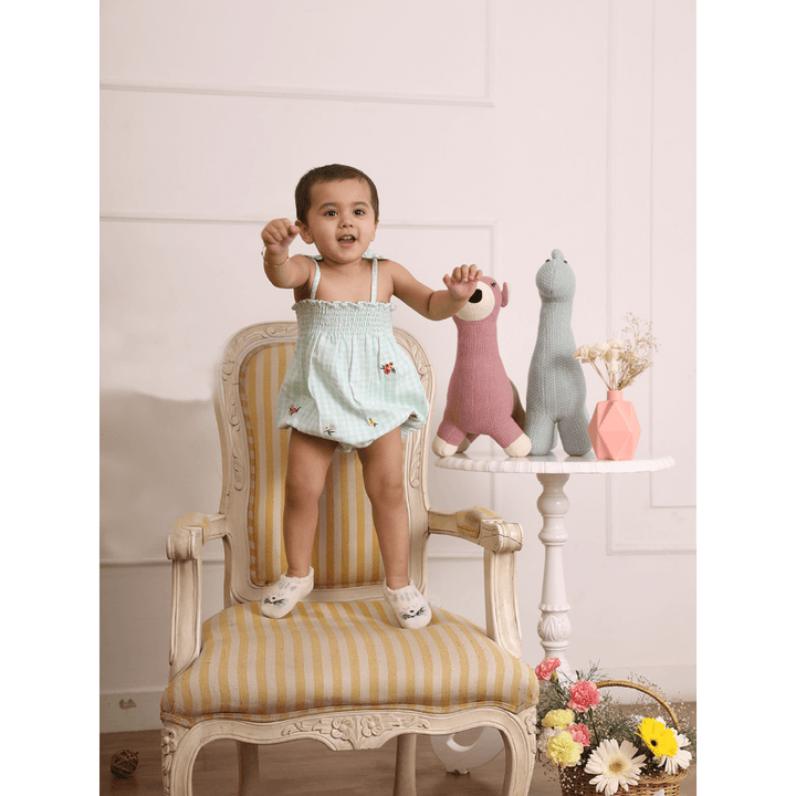 The Baby Trunk Check Embroidery Romper