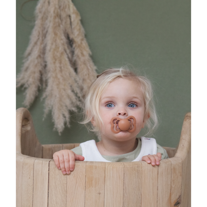 BIBS Silicone Symmetrical Nipple Pacifier Size 1 Woodchuck/Blush - Pack of 2 (Supreme)