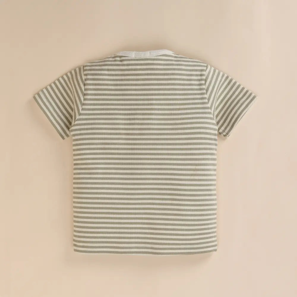 Cot &amp; Candy Baby Organic Short Sleeve T-shirt with Shorts - Dewkist Stripe