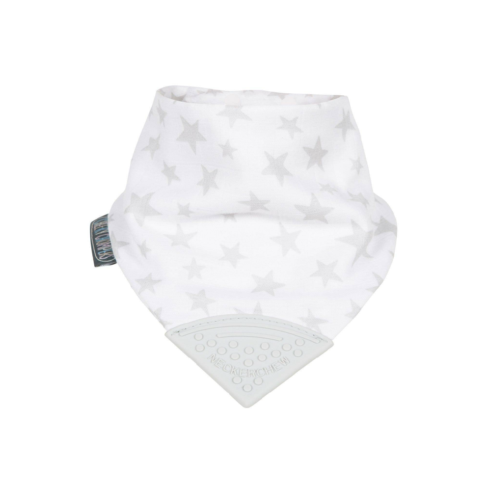 Cheeky Chompers Baby Bib with Teether