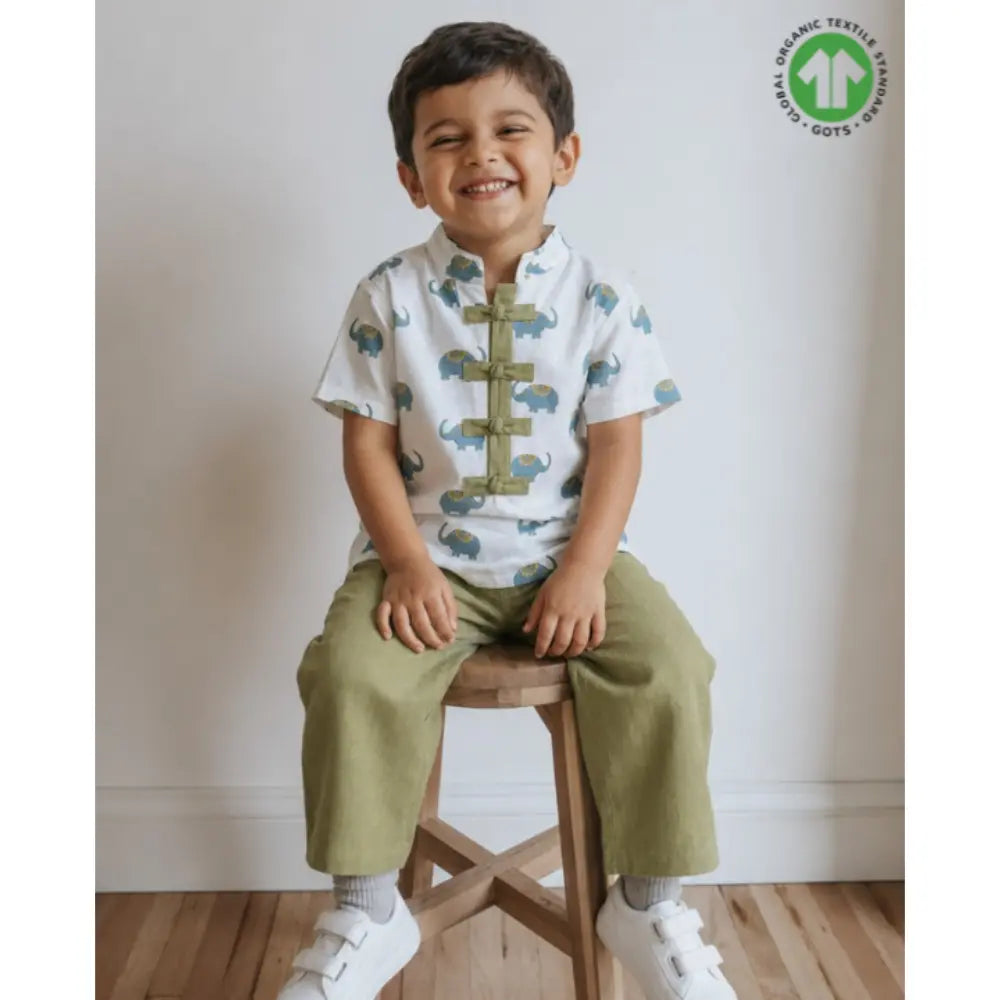 Sweetlime By AS Baby Boys Elephant Printed Cotton Mandarin Kurta with Olive Cotton Pants Co-ord Set - White &amp; Olive Green