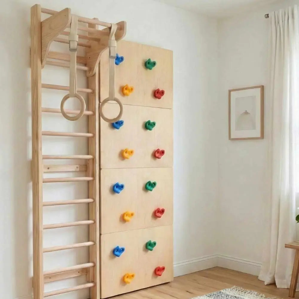 Curious Cub Space Saver Jungle Gym 1 | 4 Components - Wooden Ladder, Moveable Monkey Bar, Rock Climbing, Gymnastic Rings | Ages 4-15 Years