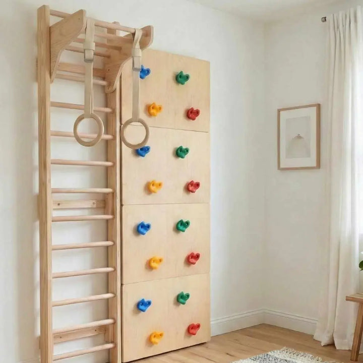 Curious Cub Space Saver Jungle Gym 1 | 4 Components - Wooden Ladder, Moveable Monkey Bar, Rock Climbing, Gymnastic Rings | Ages 4-15 Years