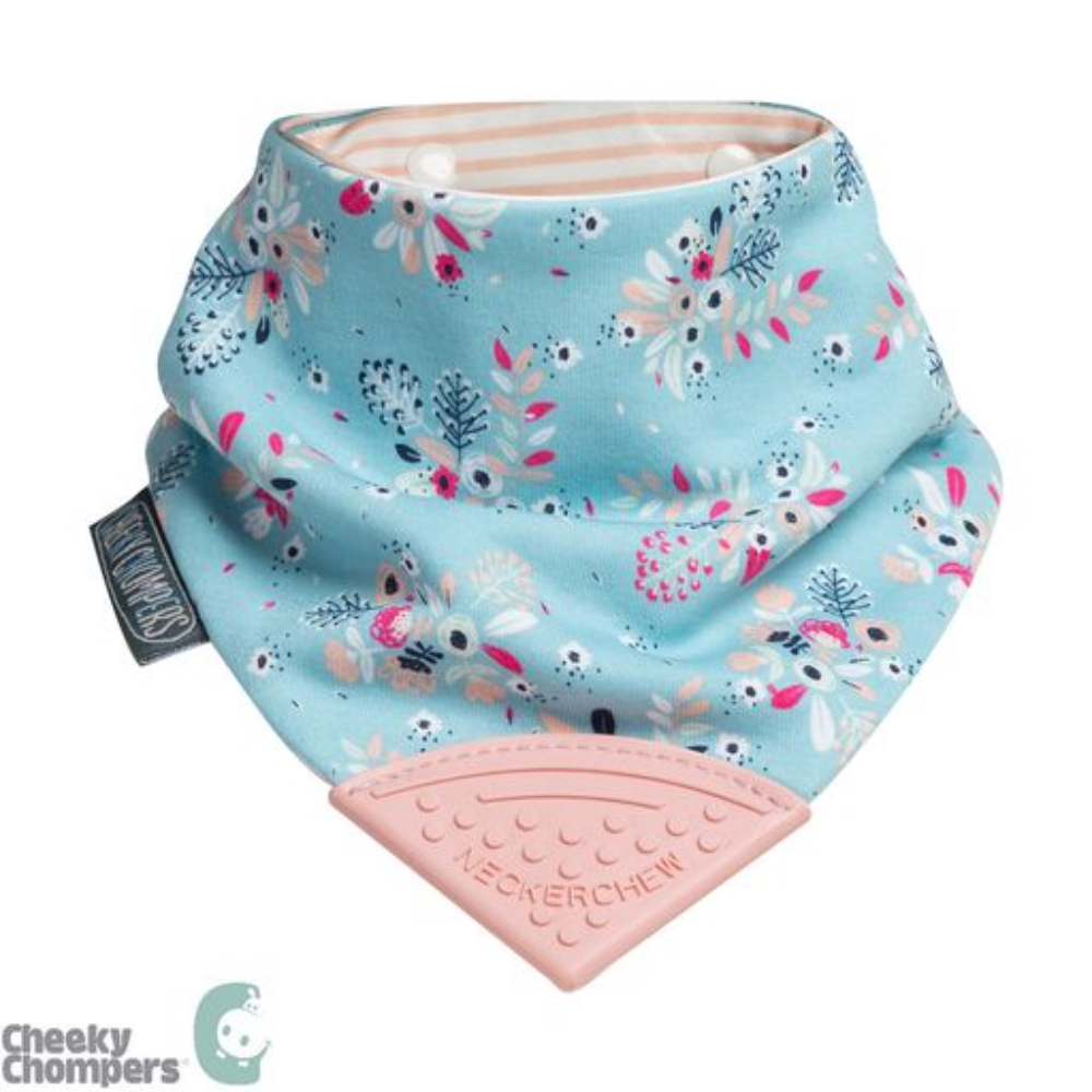 Cheeky Chompers Baby Bib with Teether