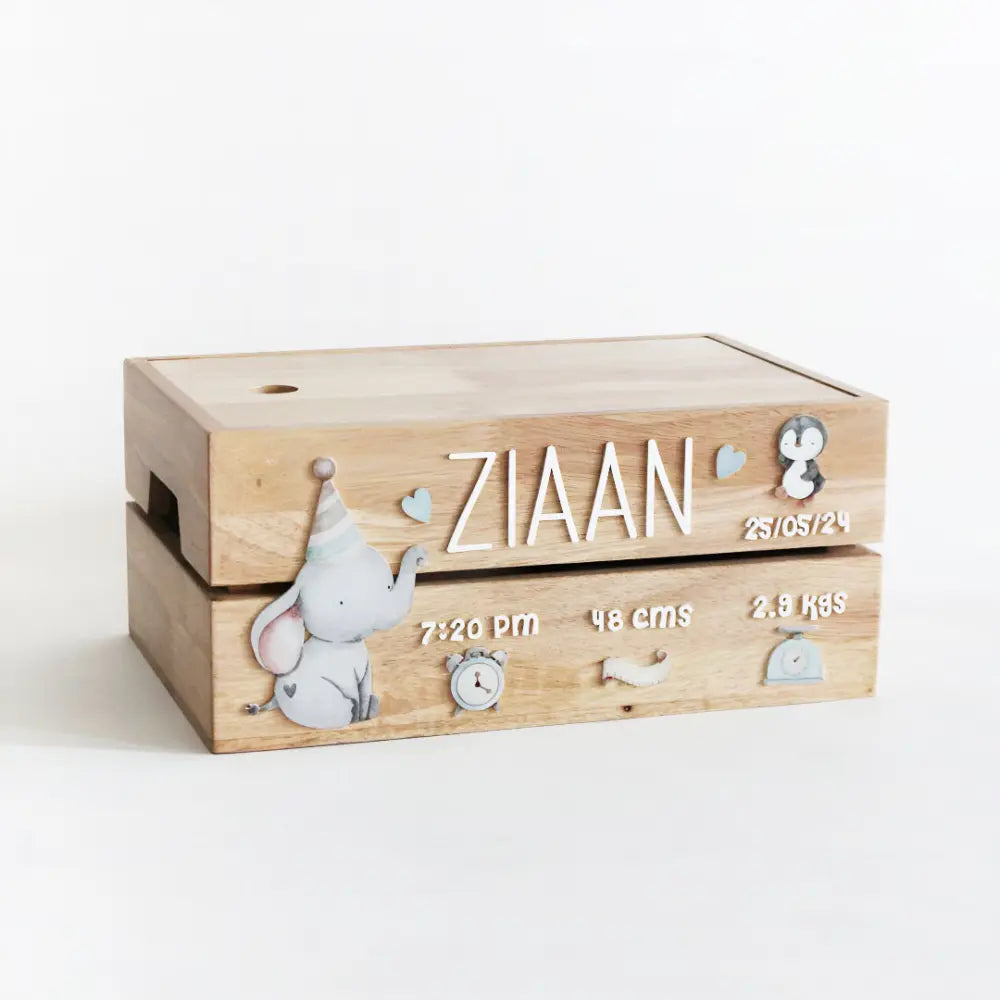 The Tiny Trove Personalized Wooden Box - Birth Statistics Boy Theme