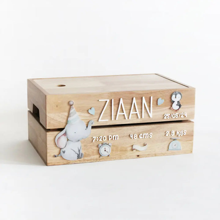 The Tiny Trove Personalized Wooden Box - Birth Statistics Boy Theme
