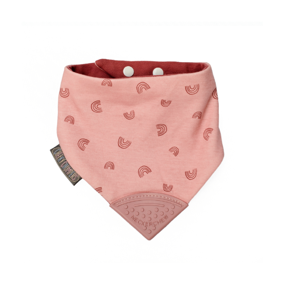 Cheeky Chompers Baby Bib with Teether