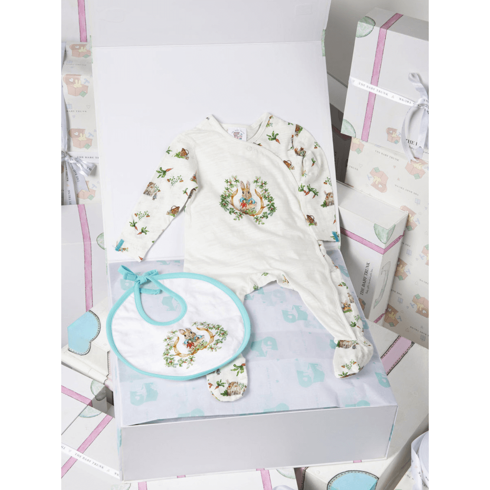 The Baby Trunk Newborn Gift Box – Peter Rabbit Onesie &amp; Hand painted Bib