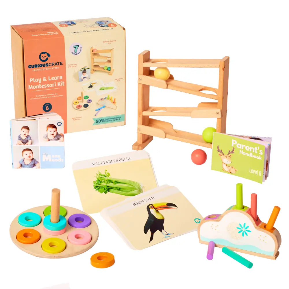 Curious Cub Montessori Box 6 | 6-Piece Baby Activity Toy Set | Ball Tracker, Ring Stacker &amp; Flashcards | 11+ Months