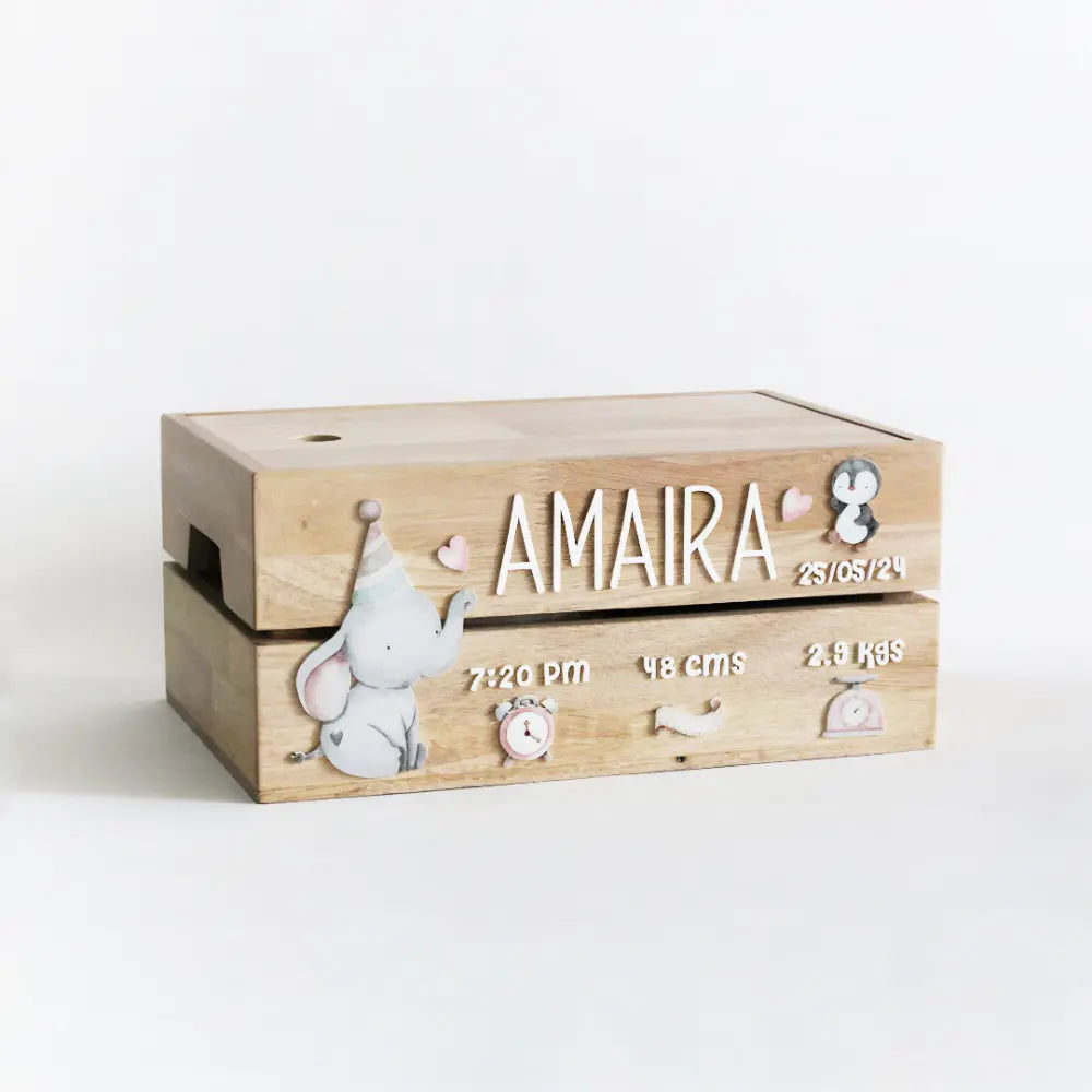 The Tiny Trove Personalized Wooden Box - Birth Statistics Girl Theme