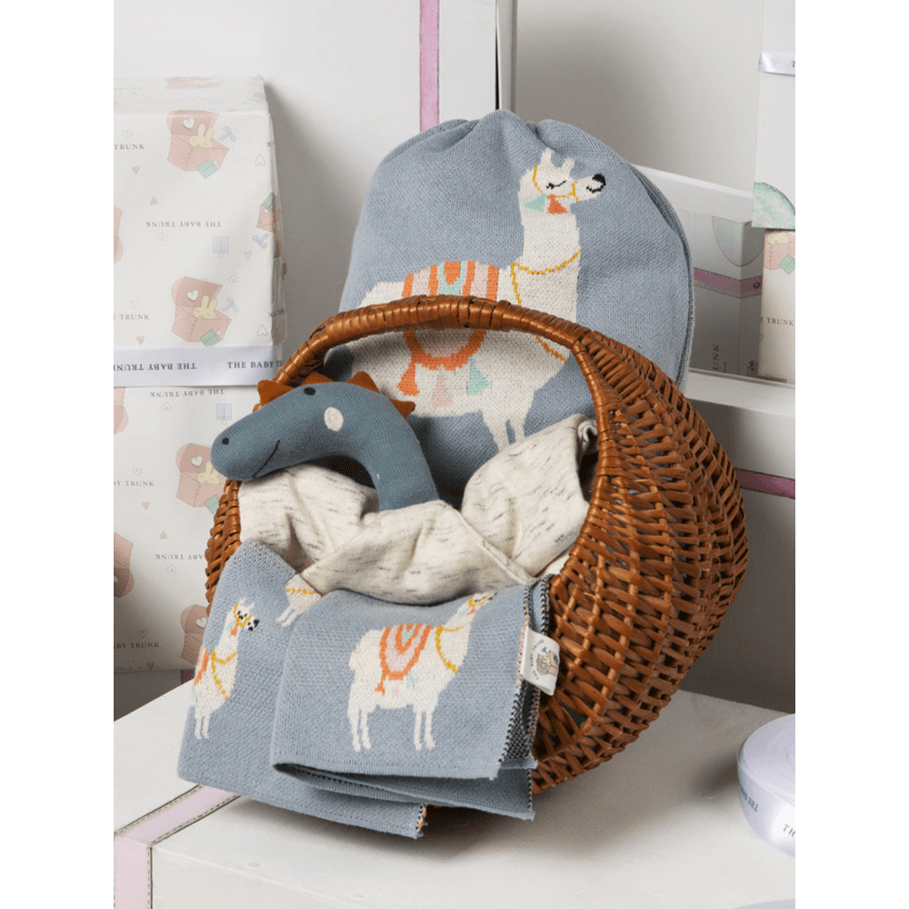 The Baby Trunk Unisex Gift Set (Pack of 4)