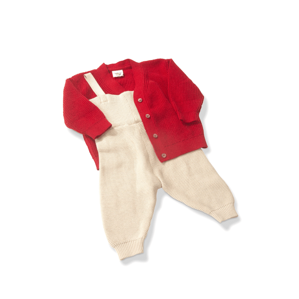 The Baby Trunk Christmas Cardigan &amp; Onesie Set For Newborn