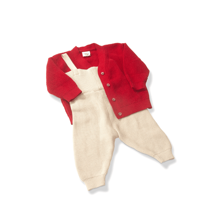 The Baby Trunk Christmas Cardigan &amp; Onesie Set For Newborn