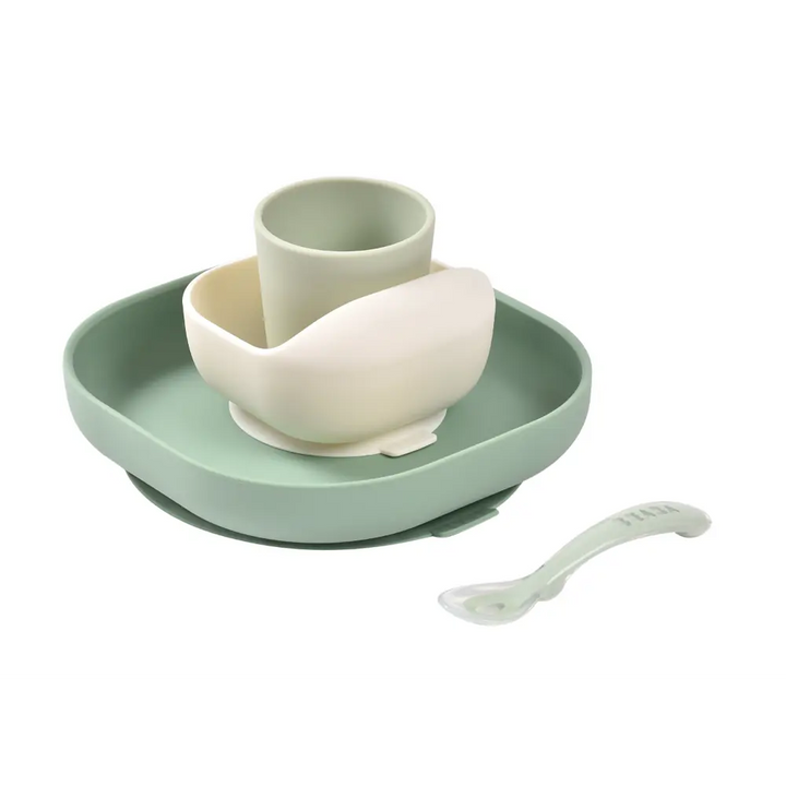 #color_sage-green-misty-green