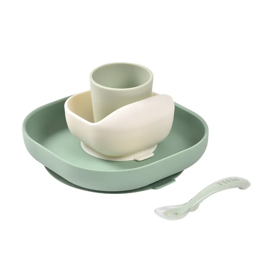 sage-green-misty-green