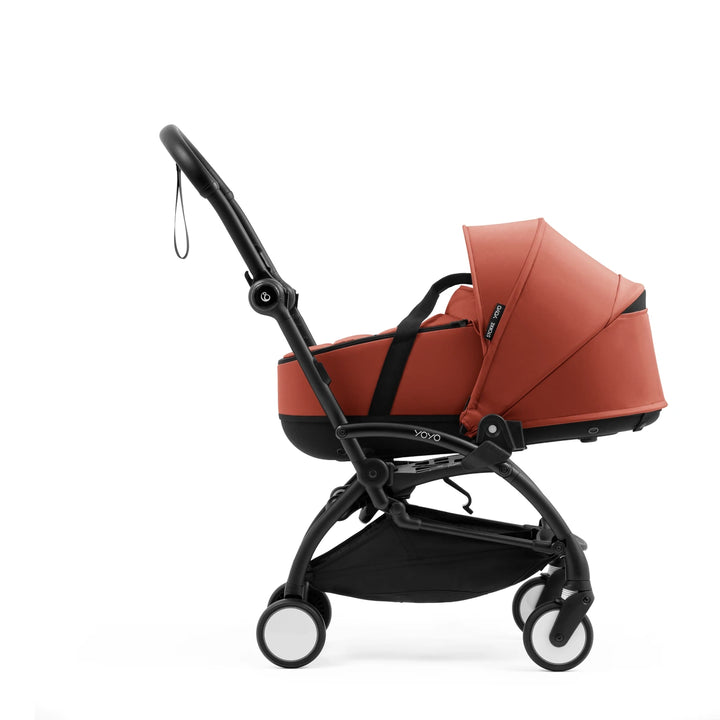 #color_Berry