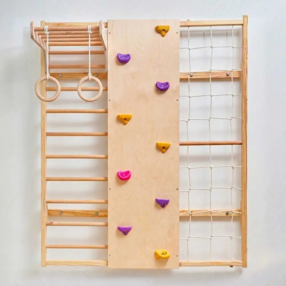 Curious Cub Wall Mounted Indoor Jungle Gym | Including 5 Activities - Monkey Bar, Rope Climbing, Rock Cimbing, Gymnastic Rings and Wooden Ladder | Active Play | Ages 2-9 Years