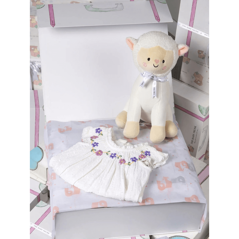 The Baby Trunk Newborn Pack Of 2 Gift Set Box