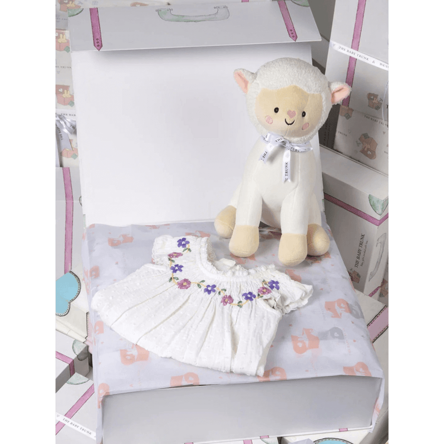 The Baby Trunk Newborn Pack Of 2 Gift Set Box