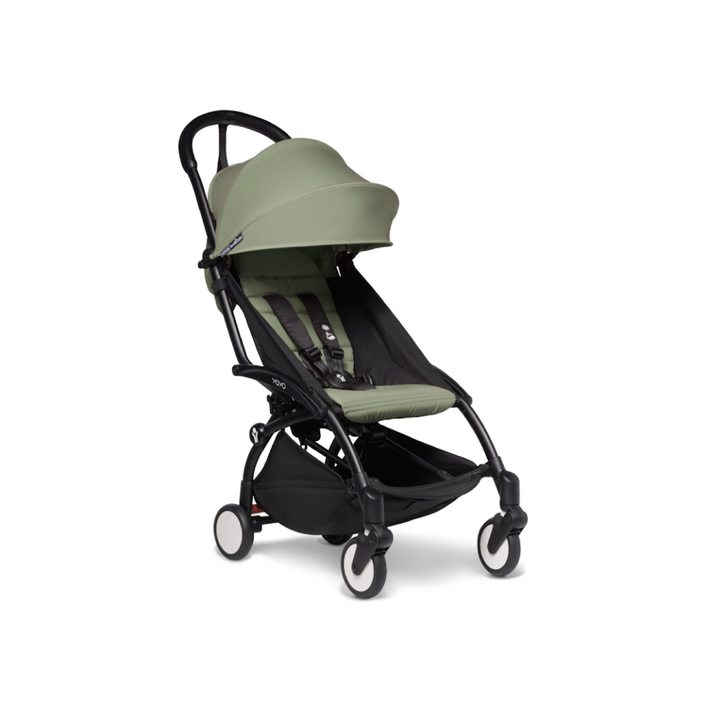 #color_olive