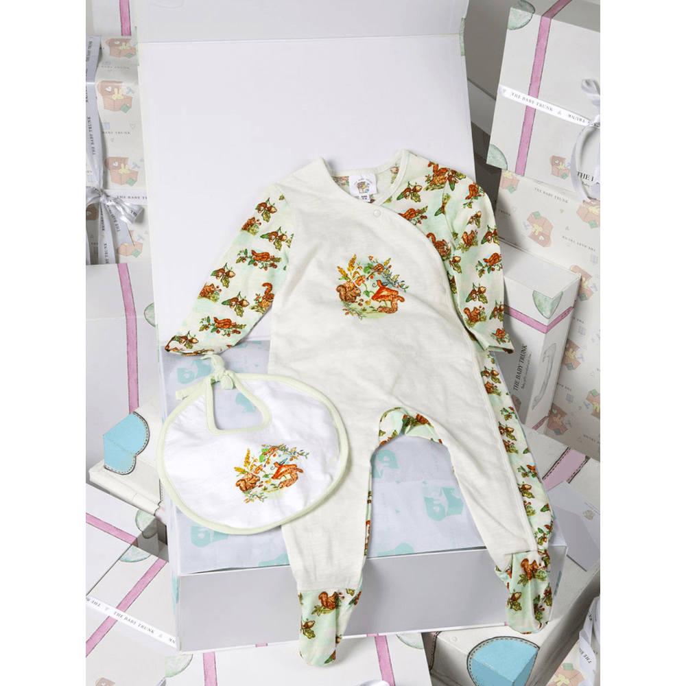 The Baby Trunk Newborn Gift Box – Squirrel Onesie &amp; Hand painted Bib