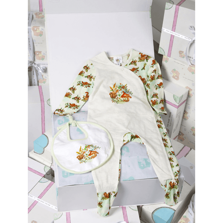 The Baby Trunk Newborn Gift Box – Squirrel Onesie &amp; Hand painted Bib