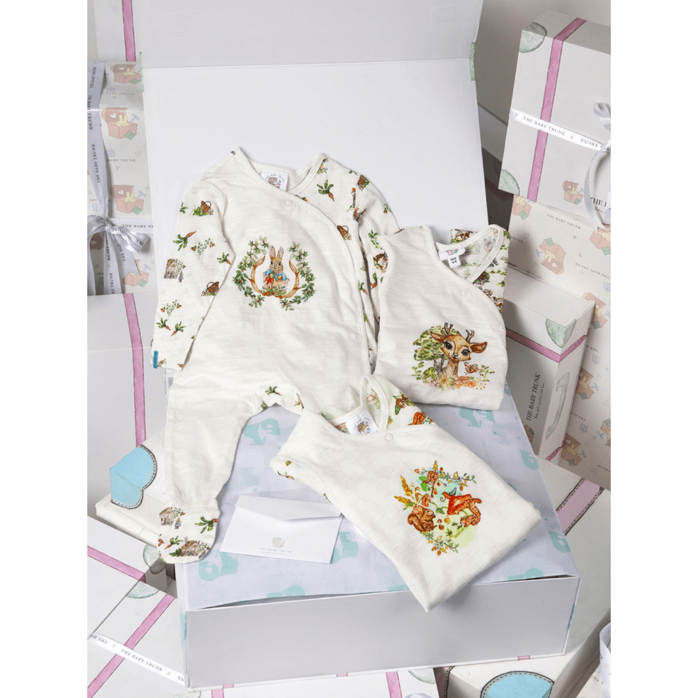The Baby Trunk Newborn Apparel Gift Box – Set of 3