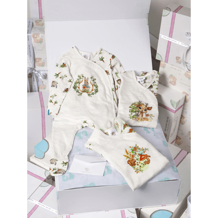The Baby Trunk Newborn Apparel Gift Box – Set of 3