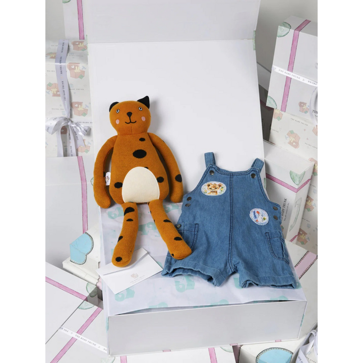 The Baby Trunk Baby Boy Summer Gift Box – Set of 2 for Newborn Comfort