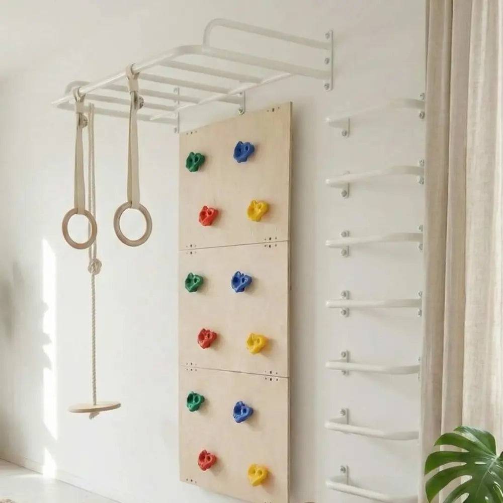 Curious Cub Ultimate Jungle Gym 3 | 5 Components - Rock Climbing, Monkey Bar, U Handles, Gymnastic Rings, Disk Swing | Ages 4-15 Years
