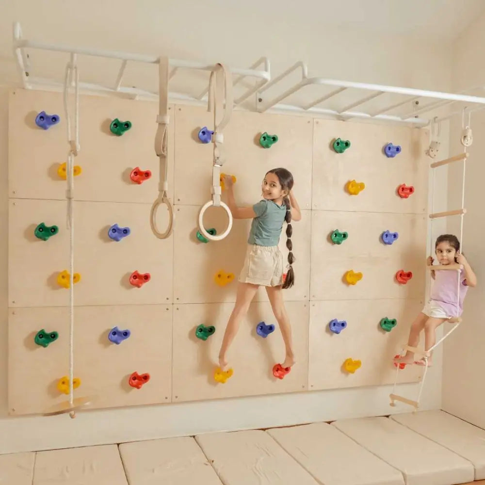 Curious Cub Ultimate Jungle Gym 1 | 5 Components - Monkey Bar, Rock Climbing Panels, Wobble Ladder, Gymnastic Rings, Swing | Ages 4-15 Years