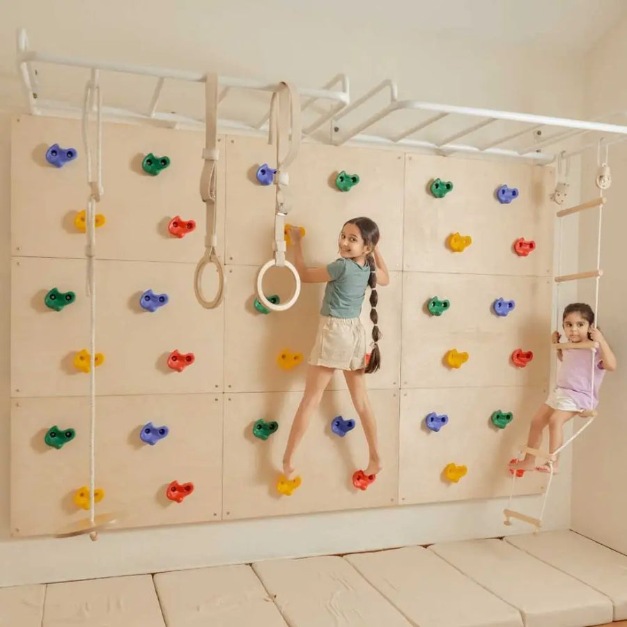 Curious Cub Ultimate Jungle Gym 1 | 5 Components - Monkey Bar, Rock Climbing Panels, Wobble Ladder, Gymnastic Rings, Swing | Ages 4-15 Years