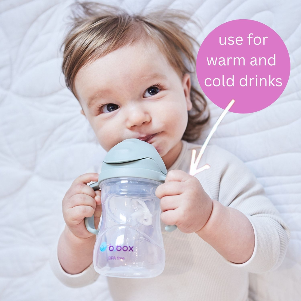 B.box Weighted Straw Sippy Cup 240ml